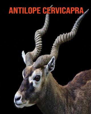 Book cover for Antilope cervicapra