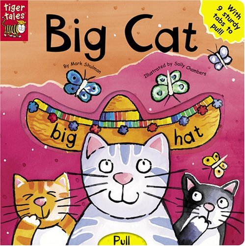 Book cover for Big Cat