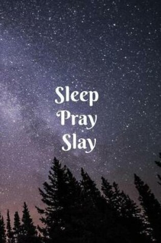 Cover of Sleep Pray Slay