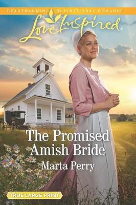 Book cover for The Promised Amish Bride