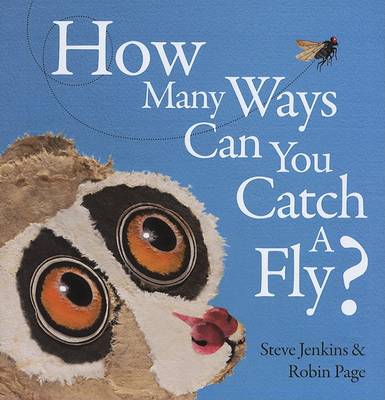 Book cover for How Many Ways can You Catch a Fly?