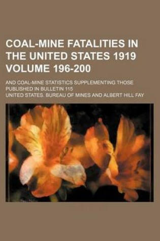 Cover of Coal-Mine Fatalities in the United States 1919 Volume 196-200; And Coal-Mine Statistics Supplementing Those Published in Bulletin 115