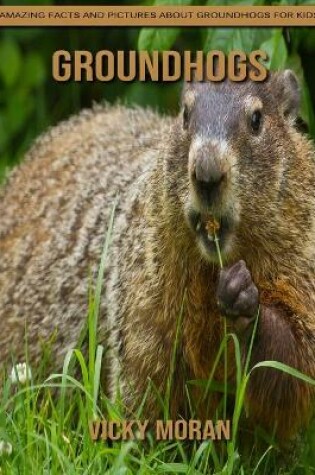 Cover of Groundhogs