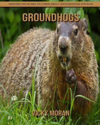 Book cover for Groundhogs