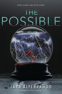 Book cover for The Possible