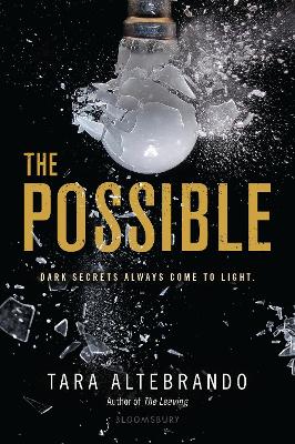 Book cover for The Possible