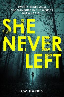 Book cover for She Never Left