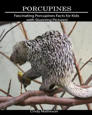 Book cover for Porcupines