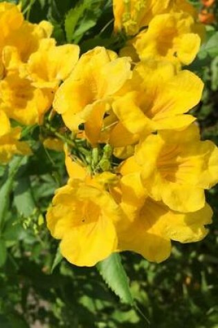 Cover of Yellow Trumpetbush Flowers, for the Love of Flowers