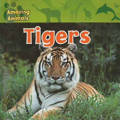 Book cover for Tigers