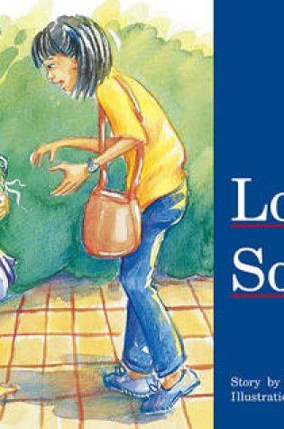 Cover of Lost Socks
