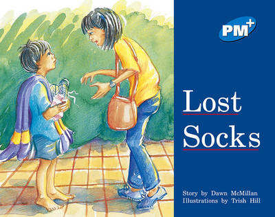 Book cover for Lost Socks