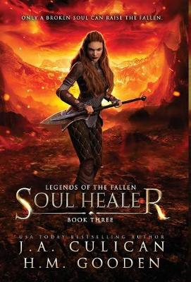 Book cover for Soul Healer