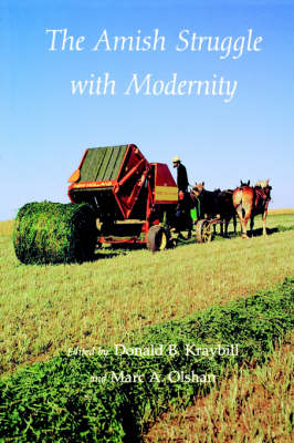 Book cover for The Amish Struggle with Modernity