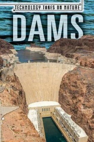 Cover of Dams