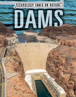 Book cover for Dams