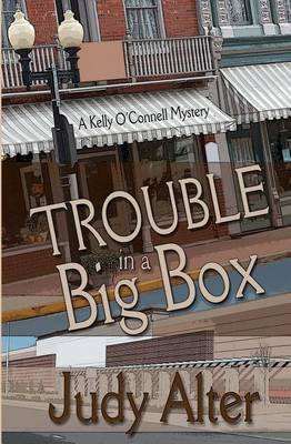 Book cover for Trouble in a Big Box