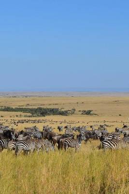 Book cover for A Huge Herd of Zebras on the Plains of Kenya in Africa, for the Love of Animals