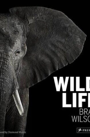 Cover of Wild Life