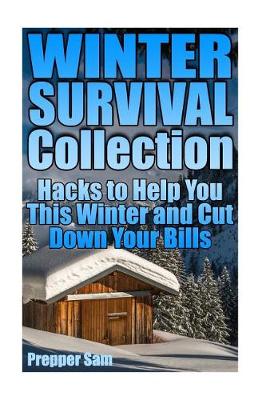 Book cover for Winter Survival Collection