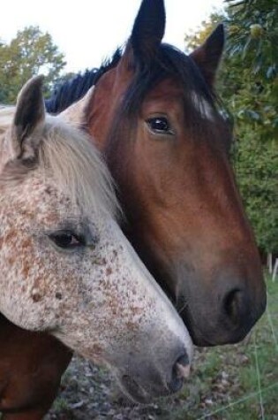 Cover of Two Friendly Horses Journal