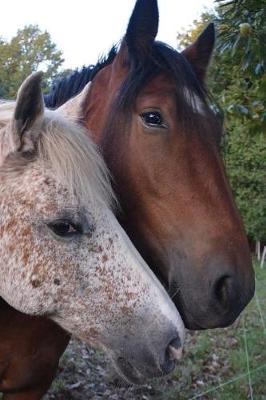 Book cover for Two Friendly Horses Journal