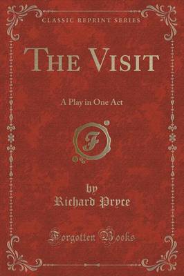 Book cover for The Visit