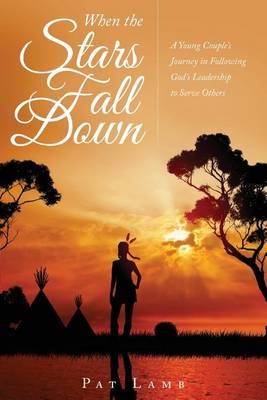 Book cover for When the Stars Fall Down
