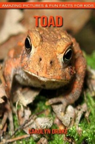 Cover of Toad