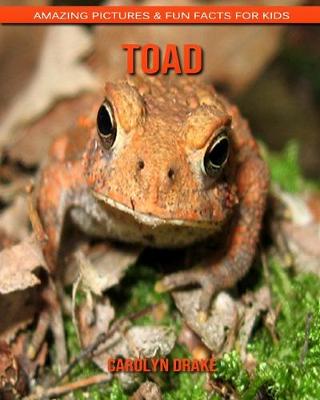 Book cover for Toad