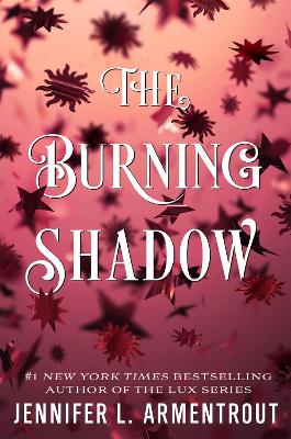 Book cover for The Burning Shadow