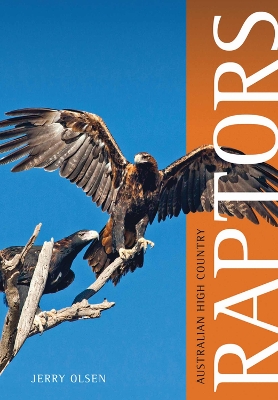 Book cover for Australian High Country Raptors