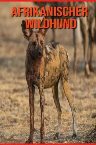 Cover of Afrikanischer Wildhund