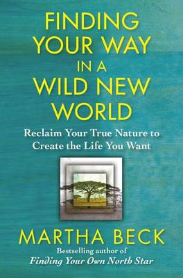 Book cover for Finding Your Way in a Wild New World