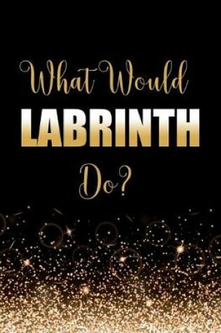 Cover of What Would Labrinth Do?