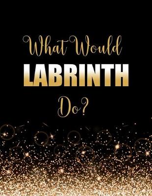 Book cover for What Would Labrinth Do?
