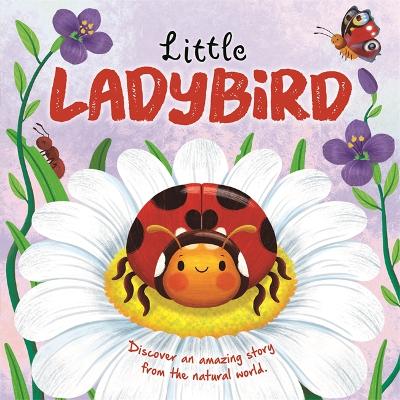 Cover of Little Ladybird