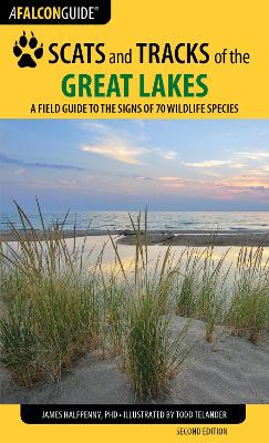 Book cover for Scats and Tracks of the Great Lakes