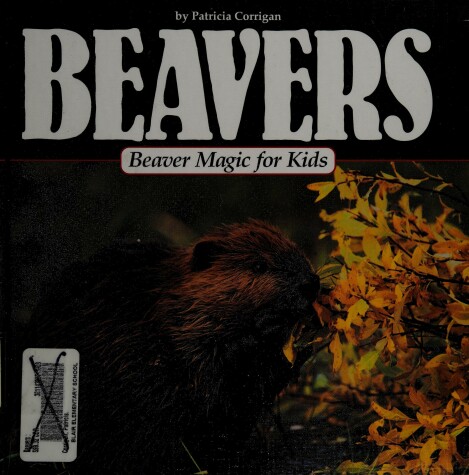 Book cover for Beavers