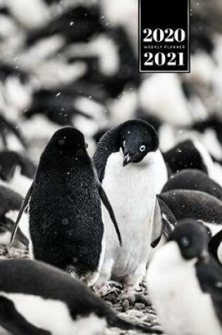 Cover of Penguin Puffin Antarctica Seabird Week Planner Weekly Organizer Calendar 2020 / 2021 - Black and White