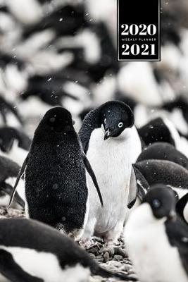 Cover of Penguin Puffin Antarctica Seabird Week Planner Weekly Organizer Calendar 2020 / 2021 - Black and White