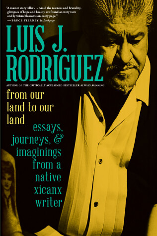 Book cover for From Our Land To Our Land