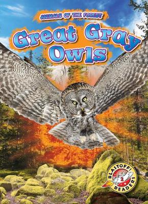 Book cover for Great Gray Owls