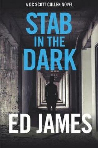 Cover of Stab in the Dark