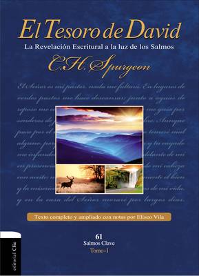 Book cover for El Tesoro de David I