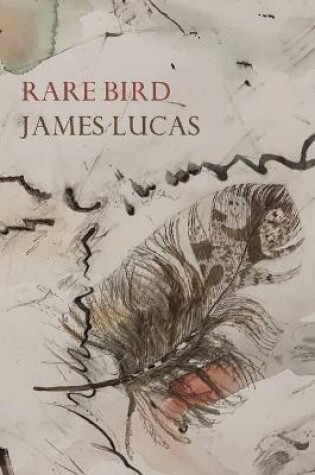 Cover of Rare Bird