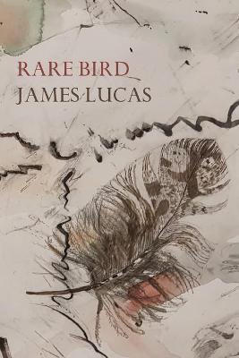 Book cover for Rare Bird