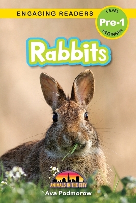 Book cover for Rabbits