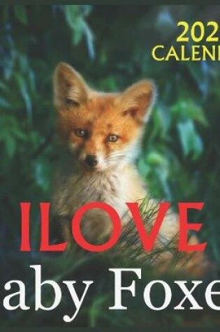 Cover of ILOVE Baby Foxes CALENDAR 2022