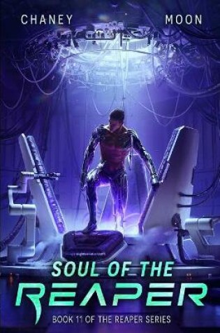 Cover of Soul of the Reaper